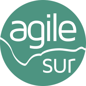 Agile Sur
